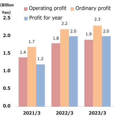 Operating profit, ordinary profit and profit for year