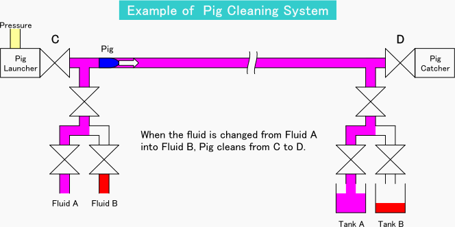 PIG system